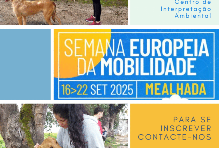 Cãominhada no Parque da Cidade da Mealhada