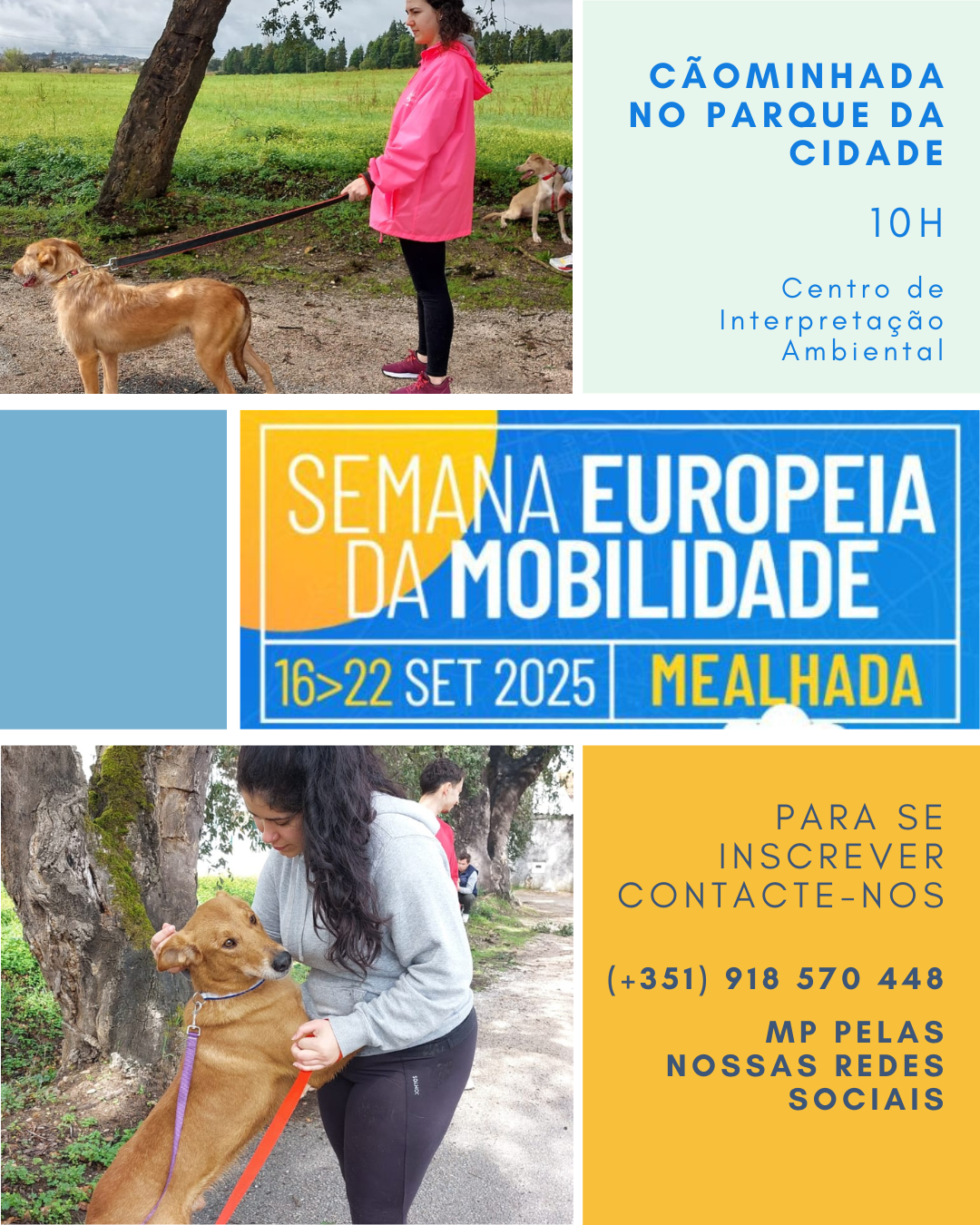 Cãominhada no Parque da Cidade da Mealhada