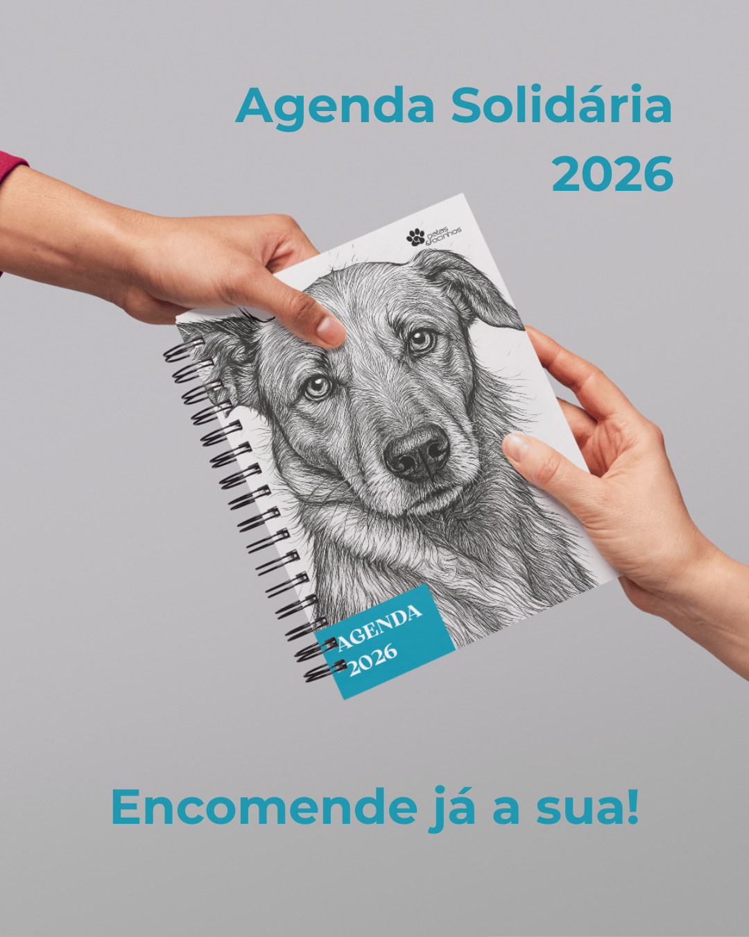 AGENDA SOLIDÁRIA 2026